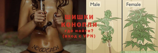 каннабис Алексеевка