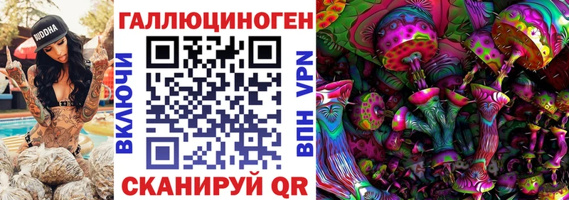 где можно купить наркотик  Ладушкин  Псилоцибиновые грибы Psilocybe 
